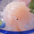 白えび