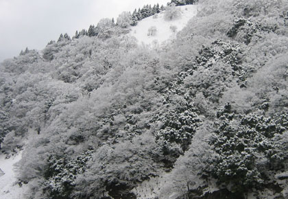 岩の露天風呂