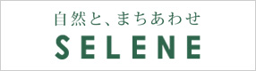黒部市芸術創造センター セレネ