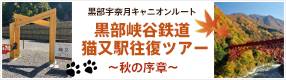 キャニオンルート